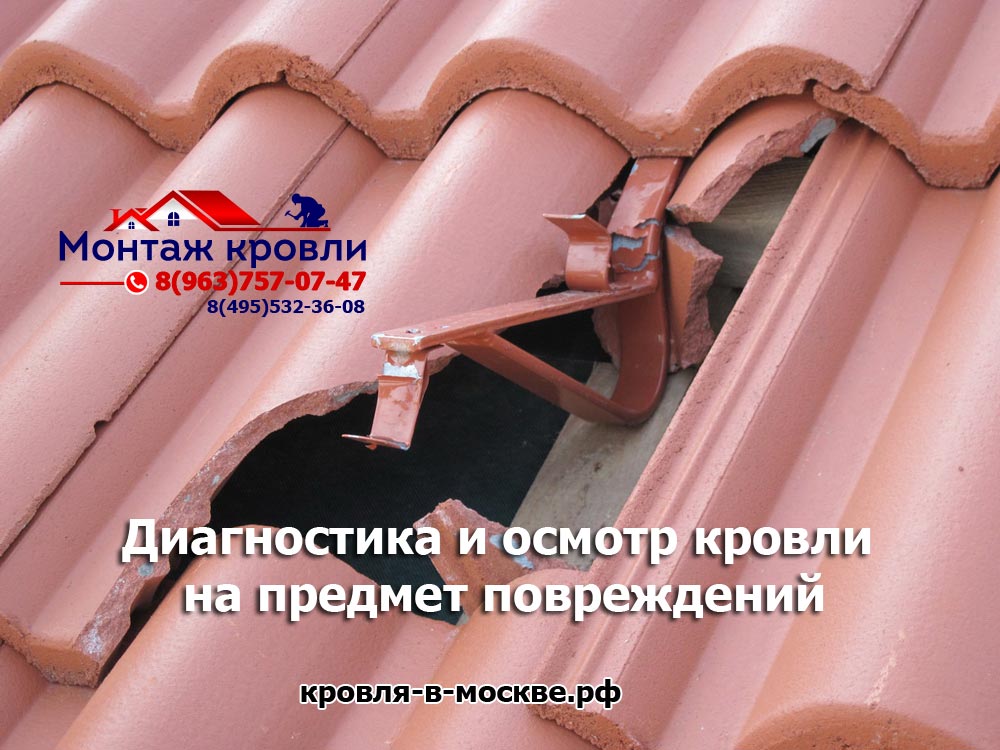 domainnow] на предмет повреждений, частичный ремонт